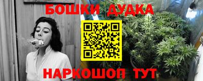 гидра Обь
