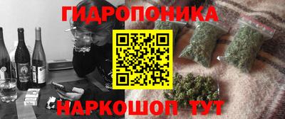 ешки Новодвинск