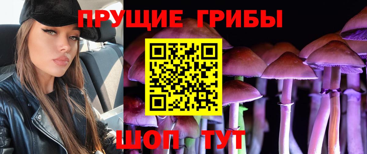 Псилоцибиновые грибы мухоморы Тайшет